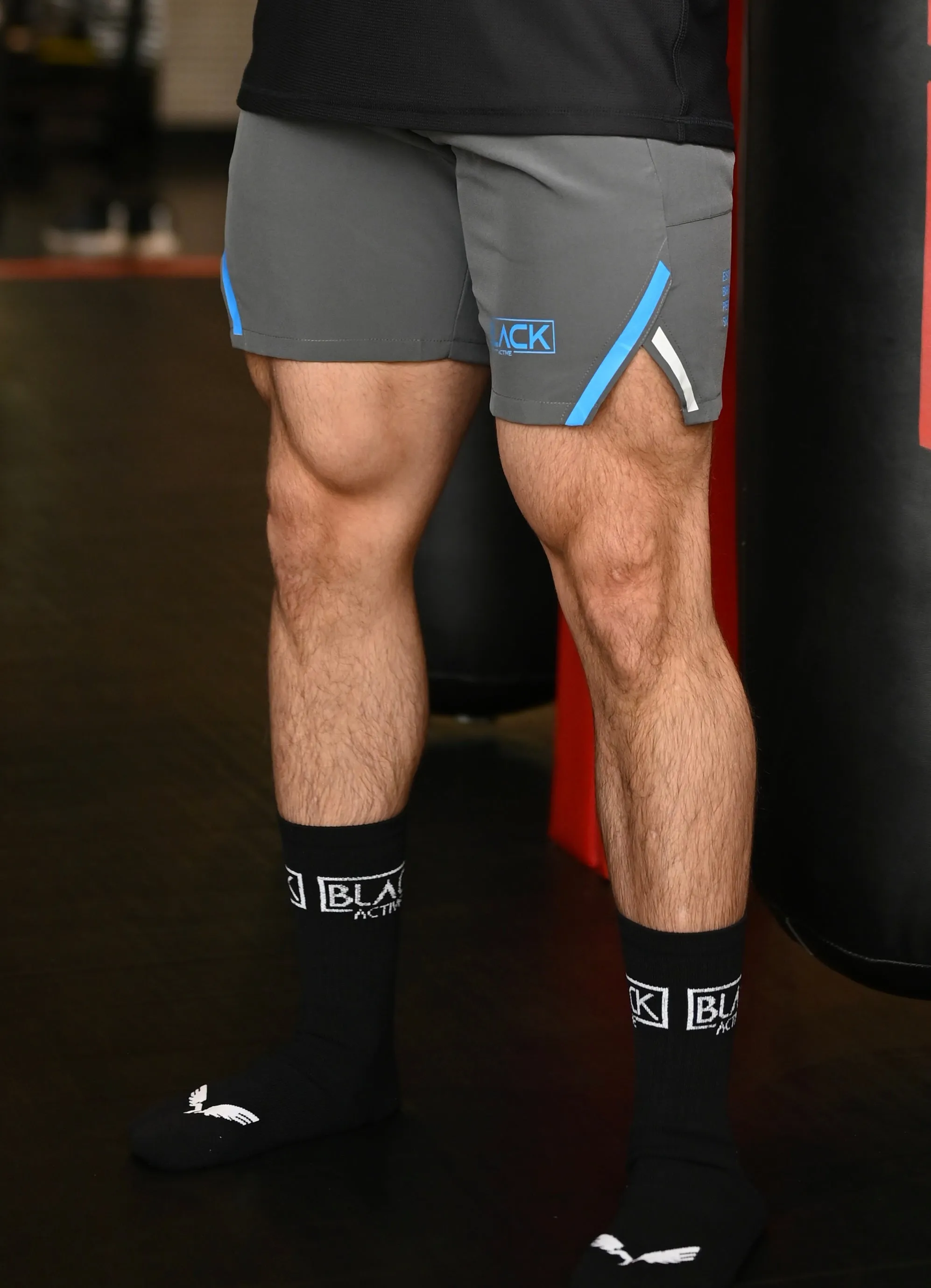 PERFORMANCE SHORTS GREY